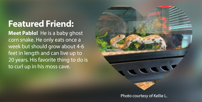 Featured Friend