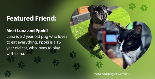 Featured Friends