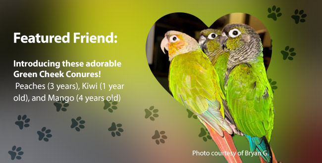 Featured Friends